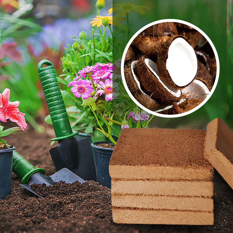 Organische Kokosnootvezels voor Planten
