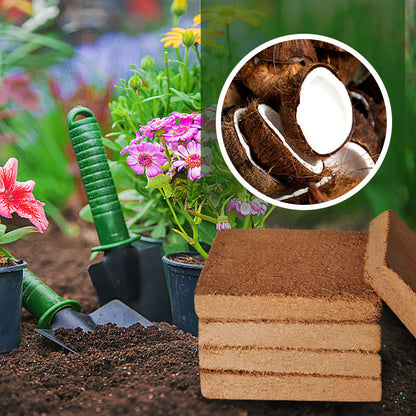 Organische Kokosnootvezels voor Planten