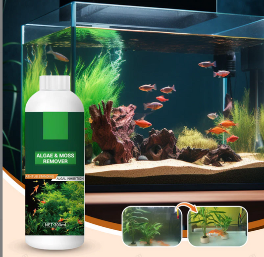🎉Buy More Save More💥 Algae & Moss Remover for Fish Tank - Safe Water Purification