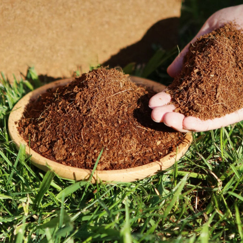 Organische Kokosnootvezels voor Planten