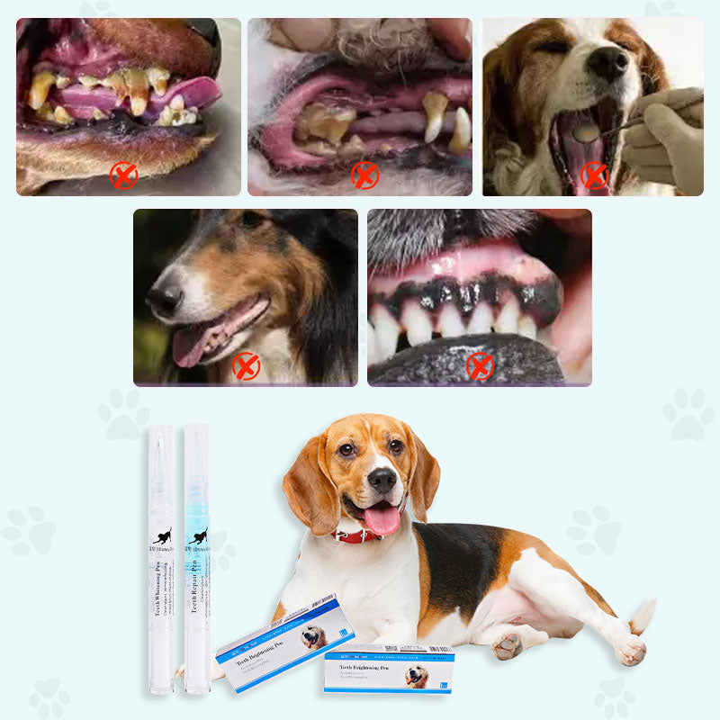 2st Pet Tooth Whitening Schoonmaak Pen Set