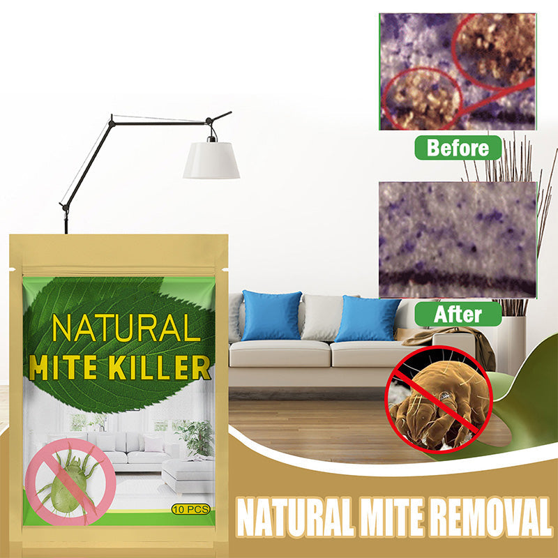 🏠✨ 50% KORTING! Plaats het in je kussen, kast of bank, en het jaagt mijten weg met pure plantenkracht. Geen chemicaliën, geen gedoe – alleen een frisse, schone nachtrust.