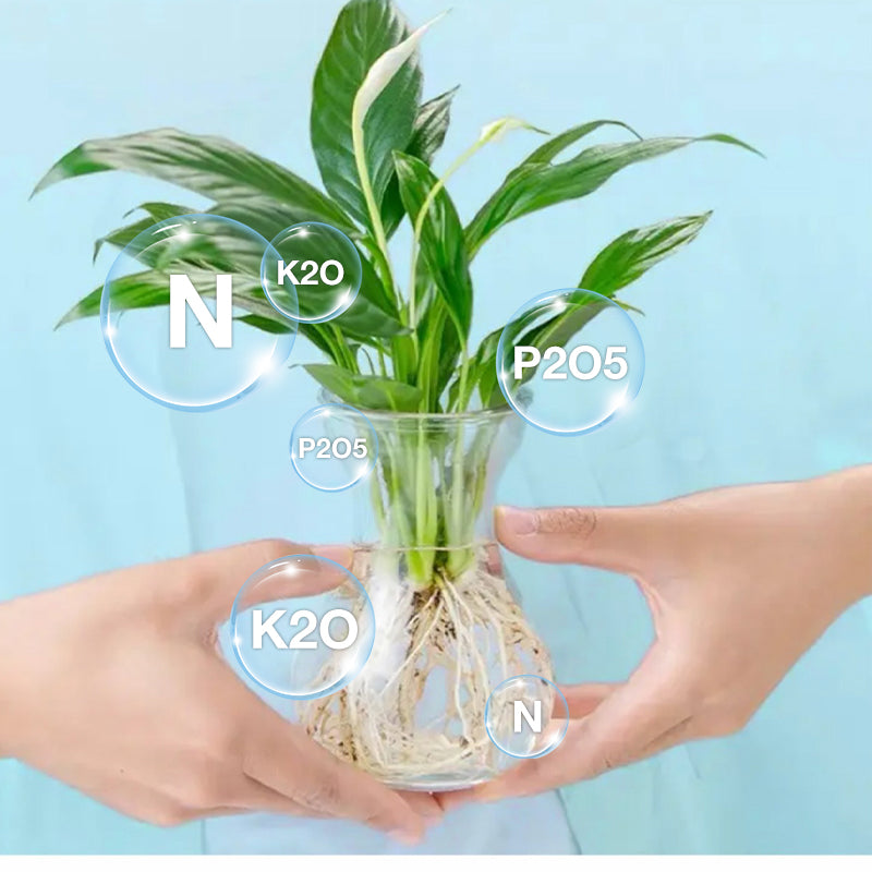 Hydroponische Voedingsoplossing voor Planten Groei