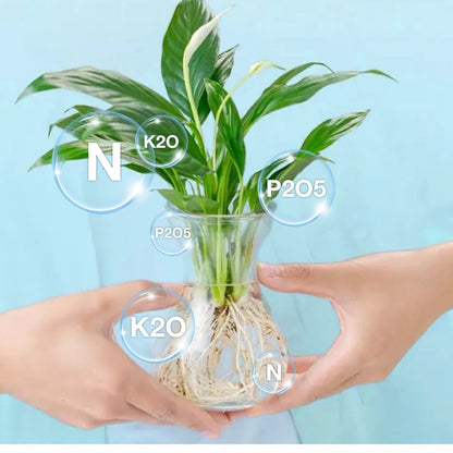 Hydroponische Voedingsoplossing voor Planten Groei