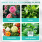 Hydroponische Voedingsoplossing voor Planten Groei