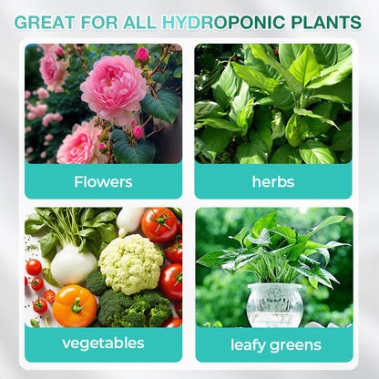 Hydroponische Voedingsoplossing voor Planten Groei