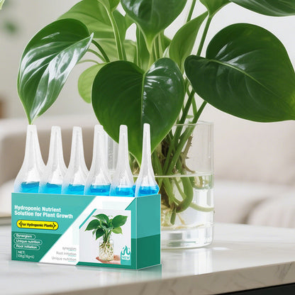 Hydroponische Voedingsoplossing voor Planten Groei