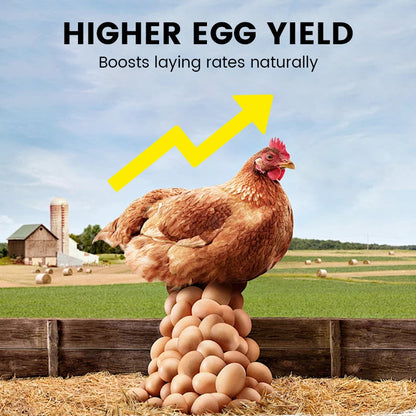 Voedingssupplement voor verbeterde eiproductie