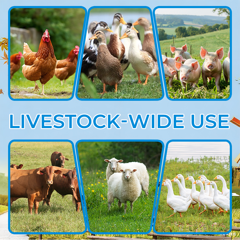 Ontwormingsmiddel voor dieren
