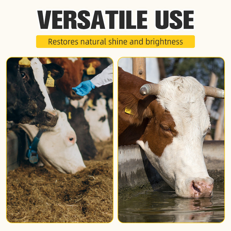 Groeibevorderend Voedingssupplement voor Vee