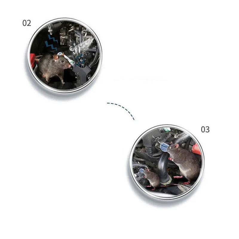 Kruiden Etherische Olie Anti Muizen Spray in Fles