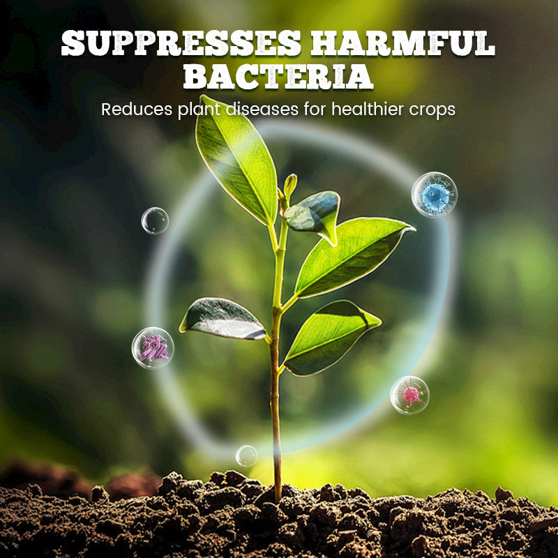 Powerful Fruit Booster Fertilizer