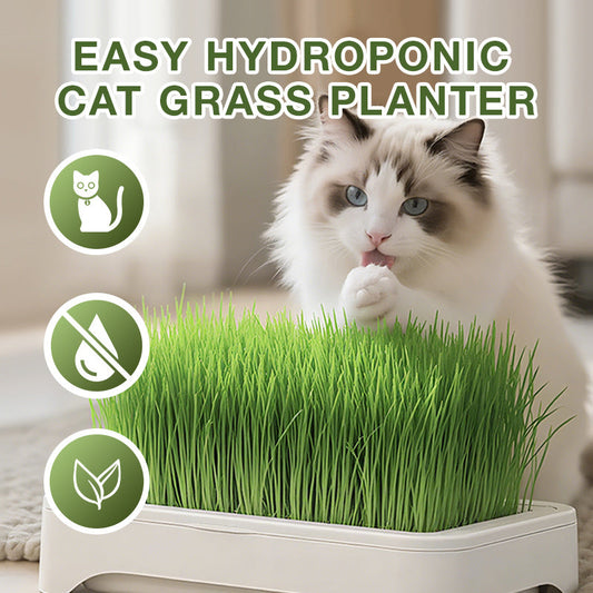 Eenvoudige Kweekbak voor Hydrocultuur Kattengras