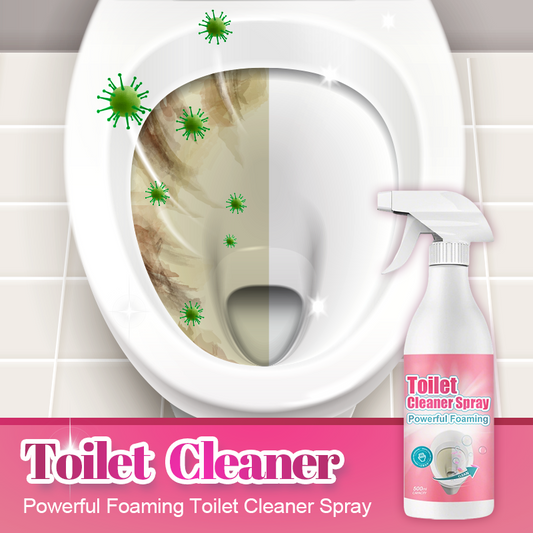 Krachtige Schuimende Toiletreiniger Spray
