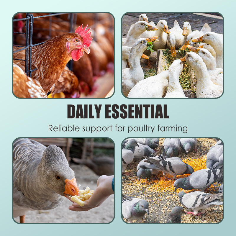 Voederadditieven voor pluimveehouderij
