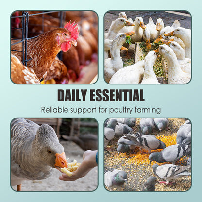 Voederadditieven voor pluimveehouderij