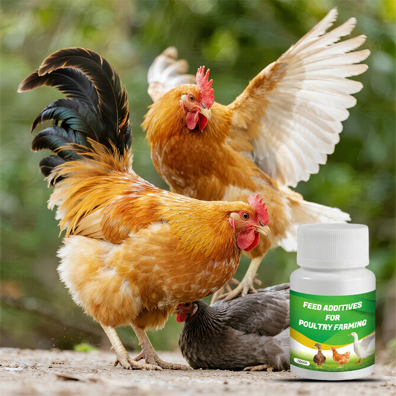Voederadditieven voor pluimveehouderij