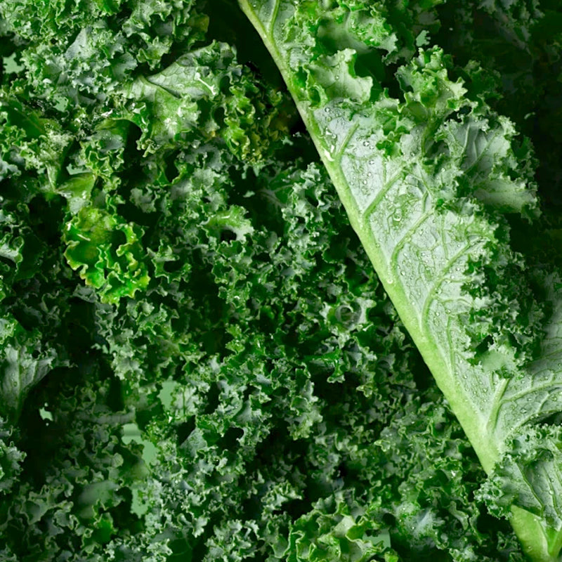 Niet-GMO Eetbare Boerenkoolzaadjes