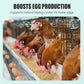 🐓🥚Ei-booster voedingssupplement