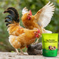 🐓🥚Ei-booster voedingssupplement