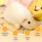Cute Plush Rat Toy & Pillow