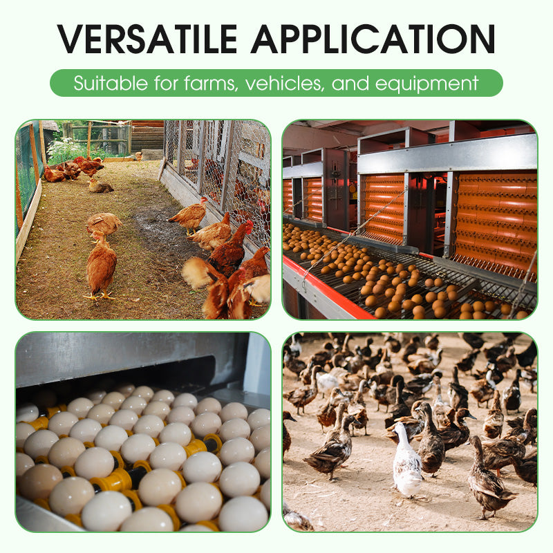 100 g Desinfectiepoeder voor Pluimveebedrijven en Apparatuur