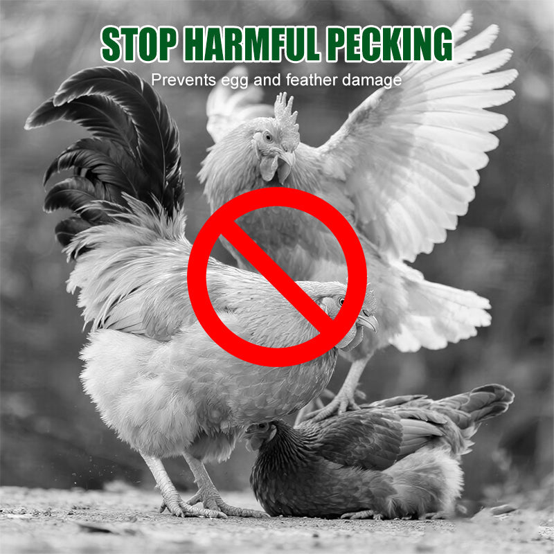 Anti-pik Voedingssupplement voor Kippen