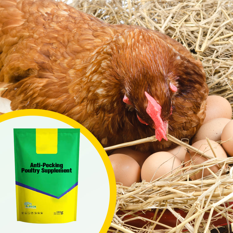 Anti-pik Voedingssupplement voor Kippen