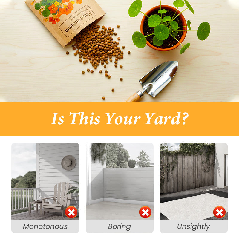 Oost-Indische kers zaden om te planten