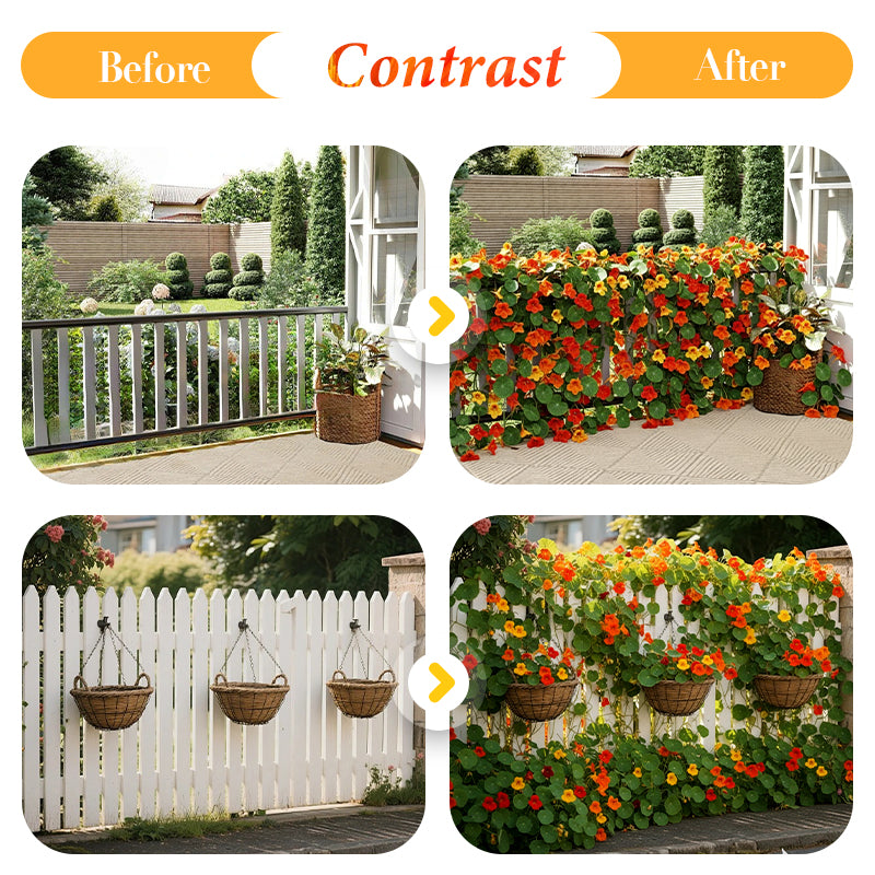 Oost-Indische kers zaden om te planten