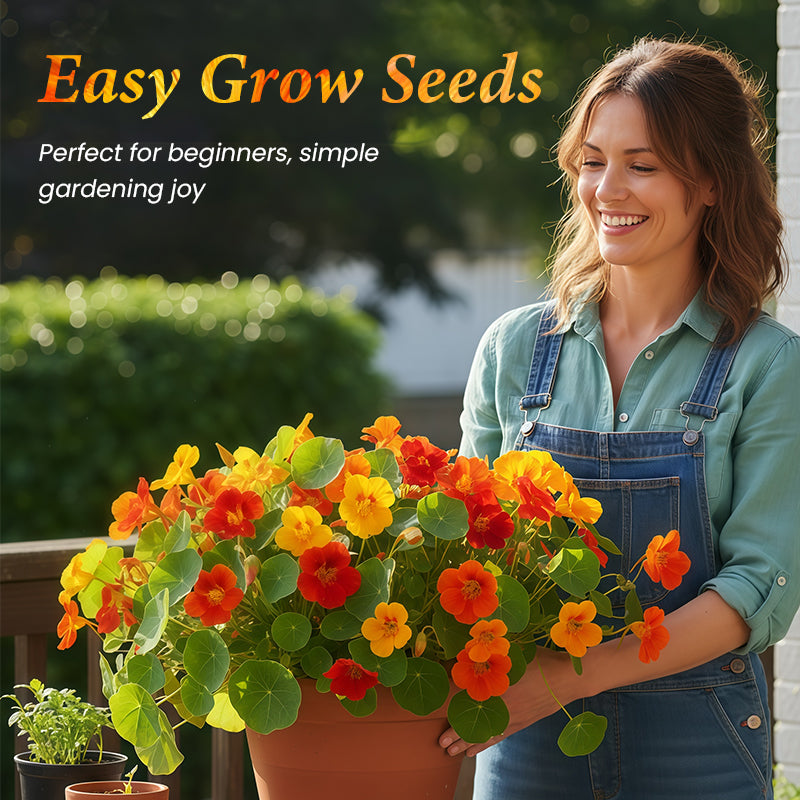 Oost-Indische kers zaden om te planten