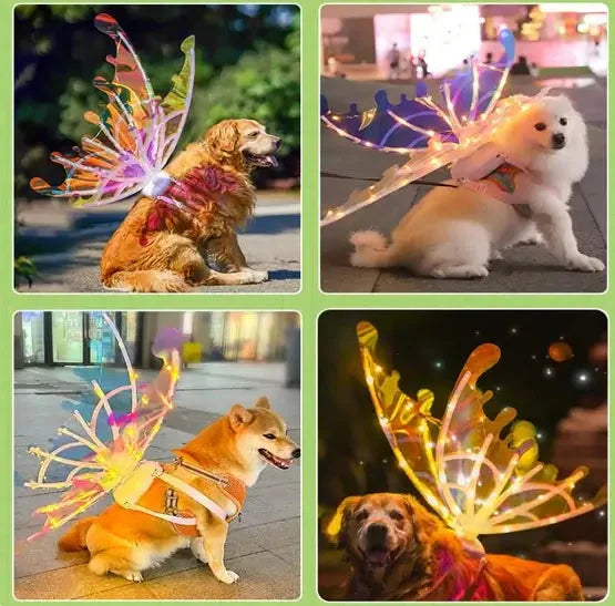 🦋✨ Kinder Elektrische Vlinder Feeënvleugels – Flapperend LED Licht, Gradiënt Ontwerp & Comfortabel Voor Verkleedfeestjes! 👧