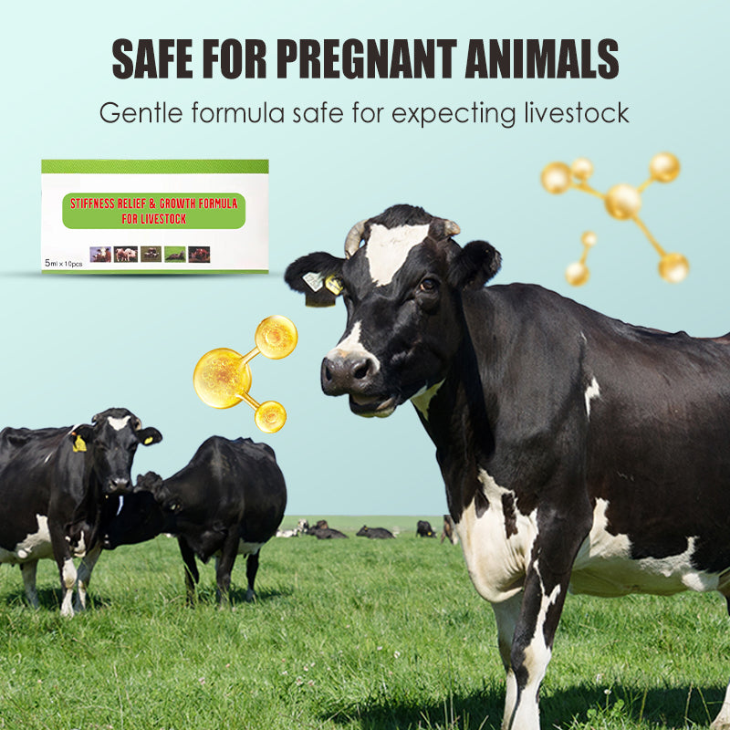 Voederadditieven voor Vee – Verlichting van Stijfheid en Bevordering van Groei