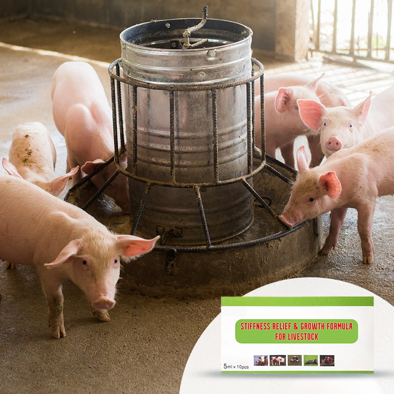 Voederadditieven voor Vee – Verlichting van Stijfheid en Bevordering van Groei