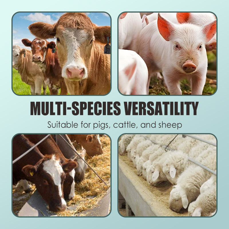 Voederadditieven voor Vee – Verlichting van Stijfheid en Bevordering van Groei