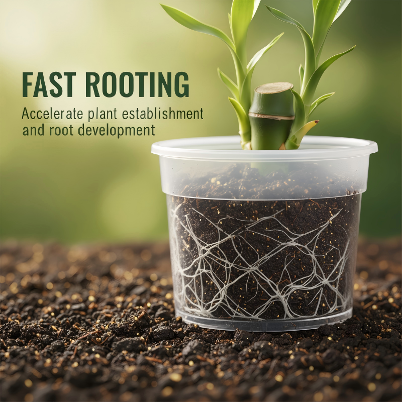 Bewortelingshormoon voor Stekjes