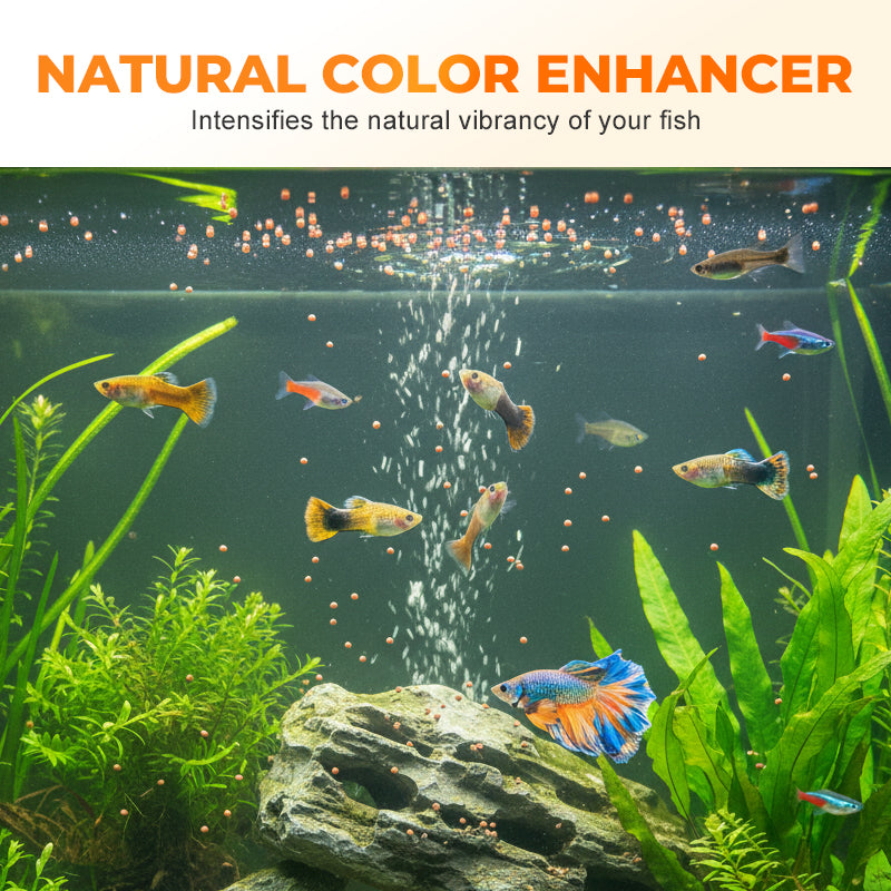 Ontschaalde artemia-eieren als visvoer