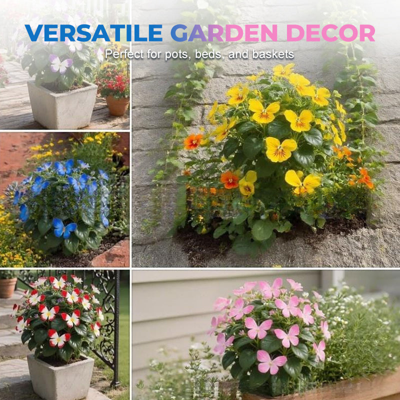 🦋 Sprookjesachtige vlindervormige bloemzaden ✨