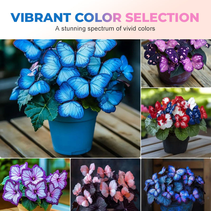 🦋 Sprookjesachtige vlindervormige bloemzaden ✨