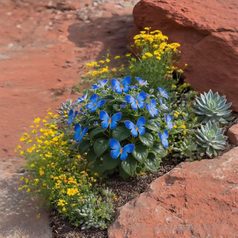 🦋 Sprookjesachtige vlindervormige bloemzaden ✨