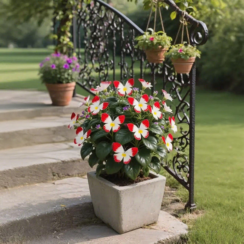 🦋 Sprookjesachtige vlindervormige bloemzaden ✨