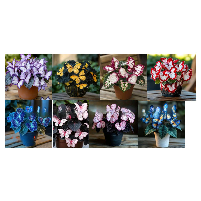 🦋 Sprookjesachtige vlindervormige bloemzaden ✨