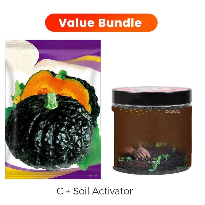 ✨ Reuzenpompoenzaden voor de tuin 🌱