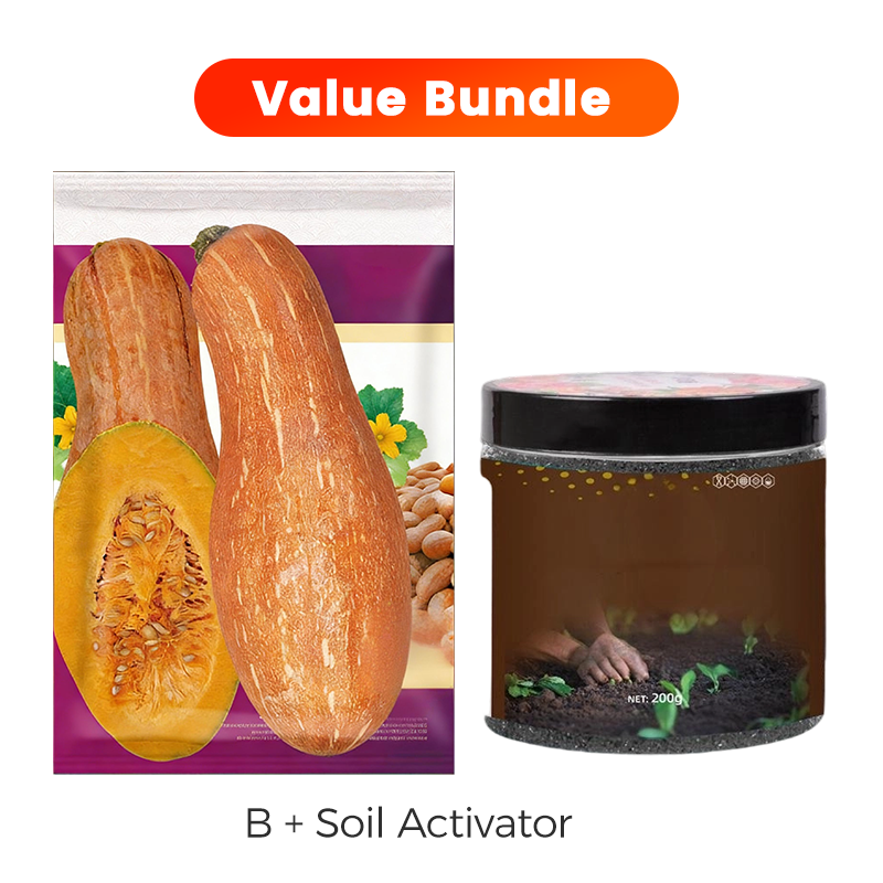 ✨ Reuzenpompoenzaden voor de tuin 🌱