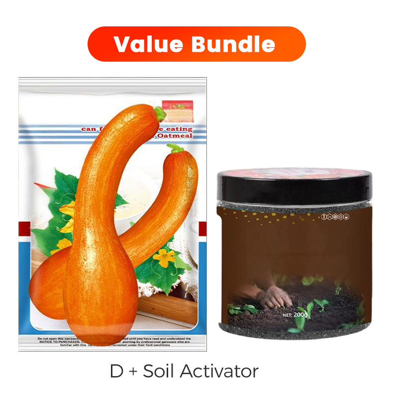 ✨ Reuzenpompoenzaden voor de tuin 🌱