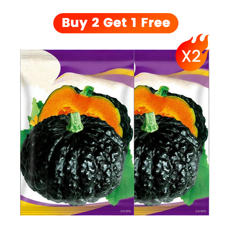 ✨ Reuzenpompoenzaden voor de tuin 🌱