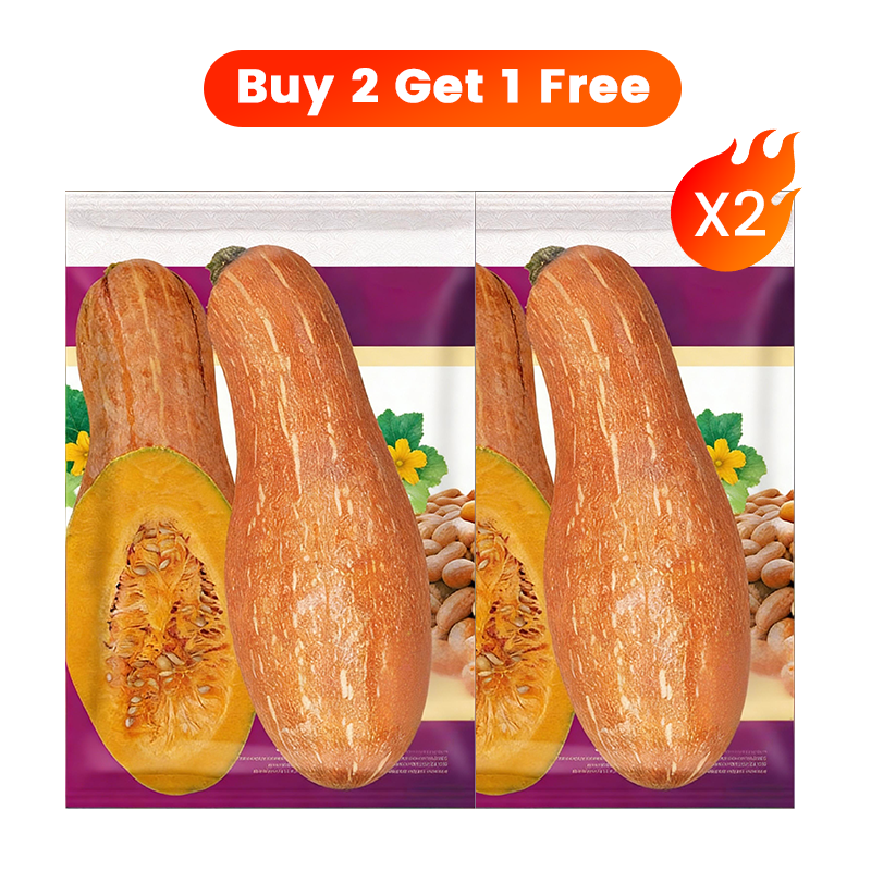 ✨ Reuzenpompoenzaden voor de tuin 🌱