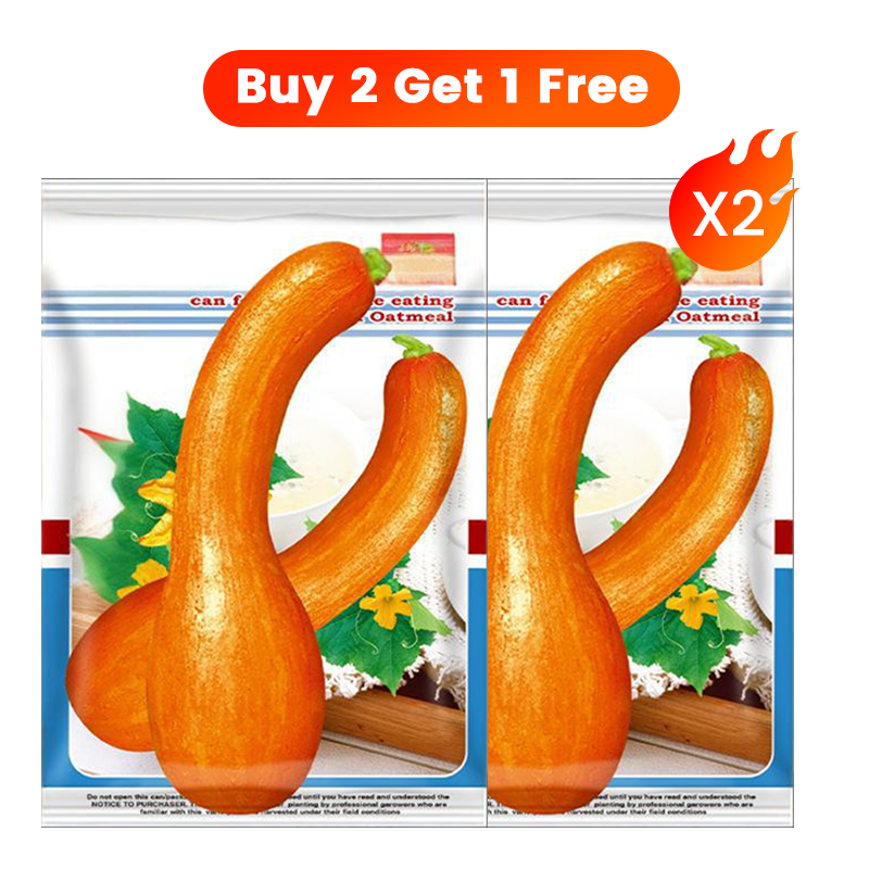 ✨ Reuzenpompoenzaden voor de tuin 🌱