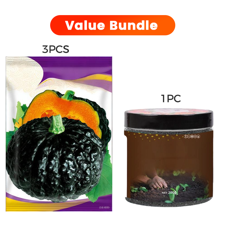 ✨ Reuzenpompoenzaden voor de tuin 🌱