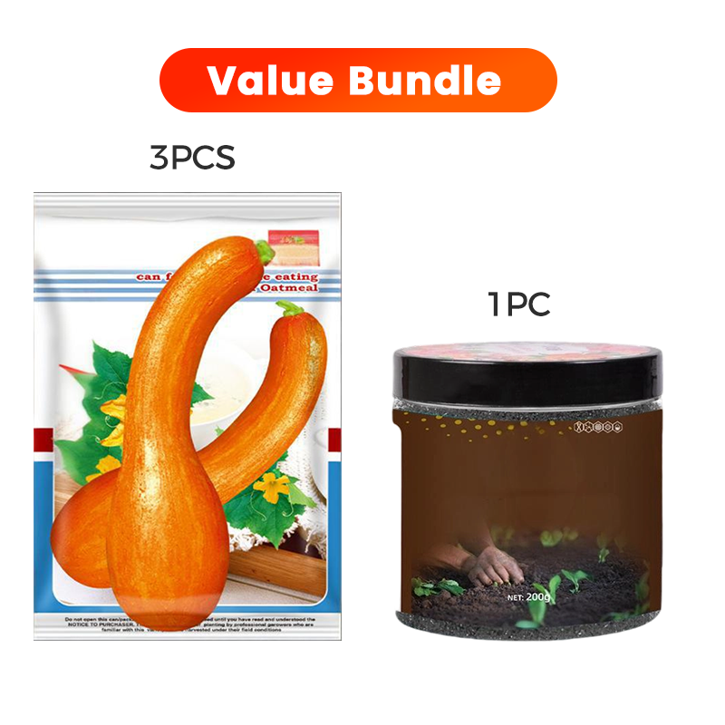 ✨ Reuzenpompoenzaden voor de tuin 🌱